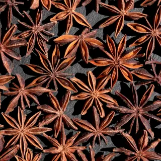 {Anason Stelat true} - imagine 0