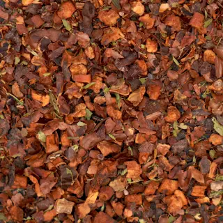 {Caramellino true} - imagine 1