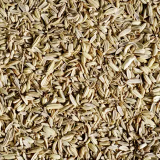 {Fenicul true} - imagine 1