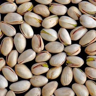 {Fistic (Crud) true} - imagine 1