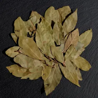 {Foi de Dafin true} - imagine 0