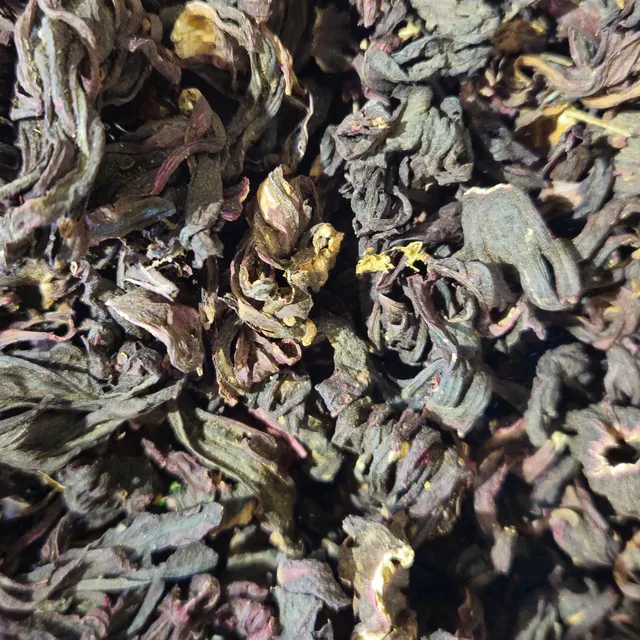 Hibiscus Flori
