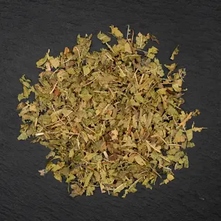 {Lemon Verbena true} - imagine 0