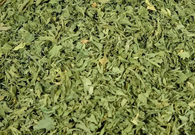 Pătrunjel Uscat (Frunze)