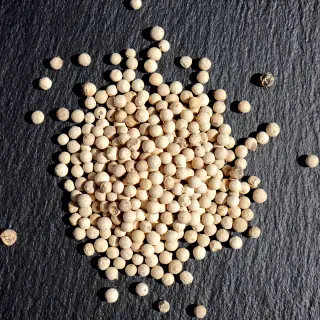 {Piper Alb (Boabe) true} - imagine 0