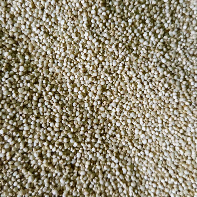 Semințe de Quinoa