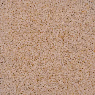 {Susan Alb true} - imagine 1