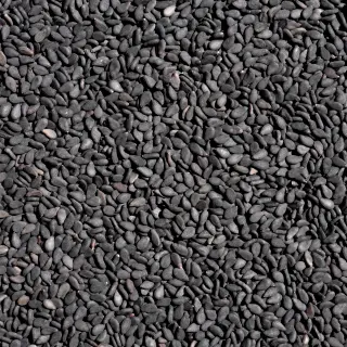 {Susan Negru true} - imagine 1