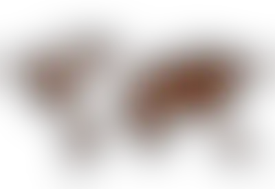 Origini